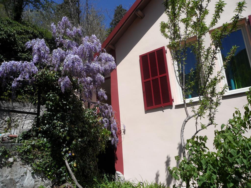 Chambres D'Hotes Casa Sylvana Saint-Dalmas-de-Tende Buitenkant foto