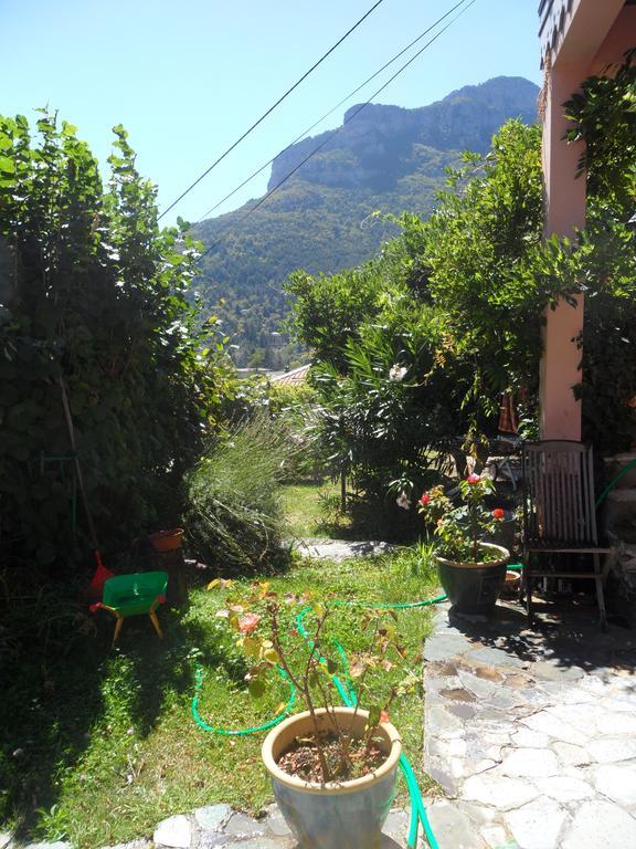 Chambres D'Hotes Casa Sylvana Saint-Dalmas-de-Tende Buitenkant foto